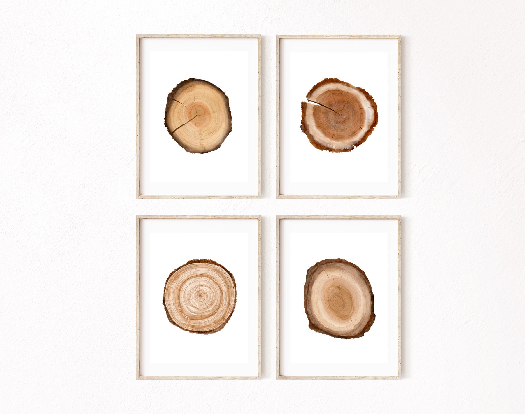 Tree Ring Printable Wall Art Set of 4, Tree Stump Instant Digital Print ...