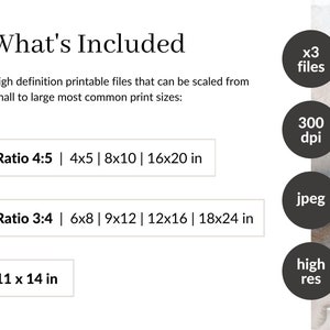 May include: A graphic showing the different sizes and ratios of printable files included in a digital download. The text reads "What's Included" and lists the sizes in inches: 4x5, 8x10, 16x20, 6x8, 9x12, 12x16, 18x24, and 11x14. The graphic also states that the files are high resolution, 300 dpi, and in jpeg format.