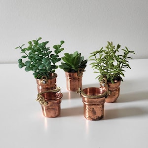 May include: Five miniature copper-coloured bucket planters, each with a handle. Three planters contain green plants, and two are empty. The buckets have a rustic, aged appearance, and the plants vary in shape and texture.