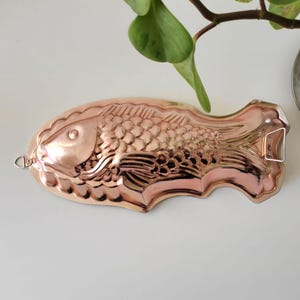 May include: A copper-colored fish-shaped mold with detailed scales and fins. The mold has a loop on one end and a rectangular clasp on the other. The kitchenware is likely used for baking or molding food items.