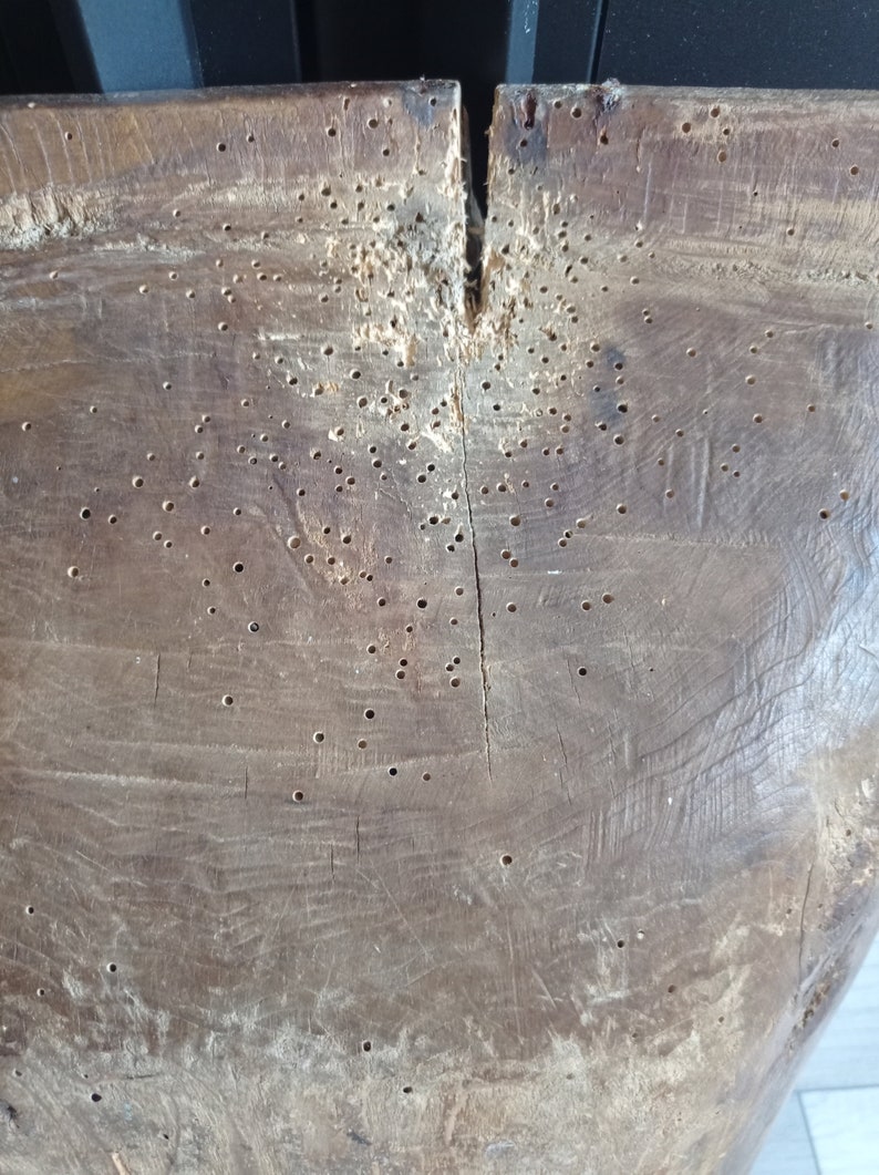 May include: A close-up of a wooden surface with numerous small holes, likely from insect damage. The wood is a dark brown color and has a rough texture.