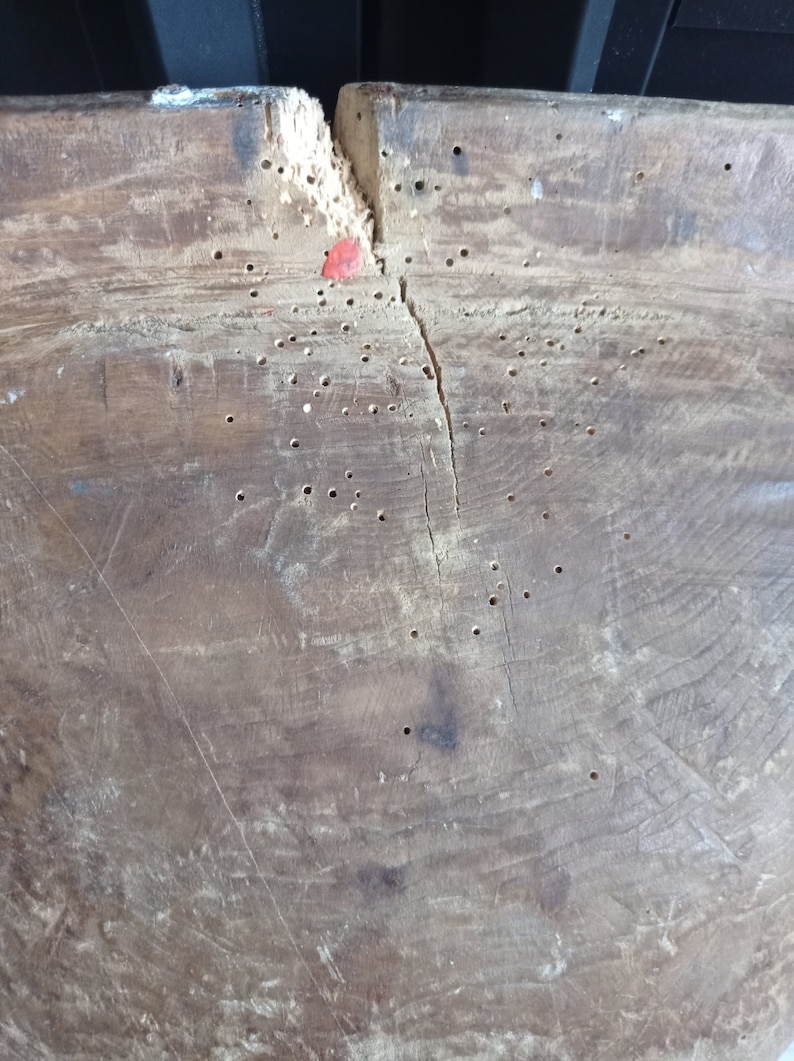 May include: Close-up of a wooden surface with a crack running down the center. The surface is covered in small holes, likely from insect damage. The wood is a light brown color.
