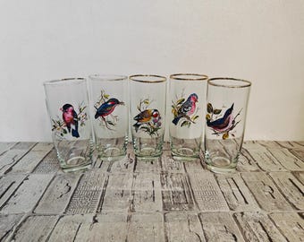 Vintage Bird Drinking Glasses - 1970s Czechoslovakia - Set of 5