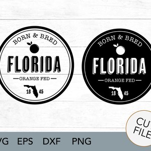 Florida SVG - Born and Bred Florida orange Fed - Florida SVG - Lokal gewachsen - Bundesstaat SVG - Florida Orangen - Bundesstaat Designs - Born and Bred