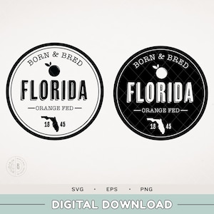 Florida SVG - Born and Bred Florida orange Fed - Florida SVG - Locally grown - States SVG - Florida oranges - State designs - Born and Bred
