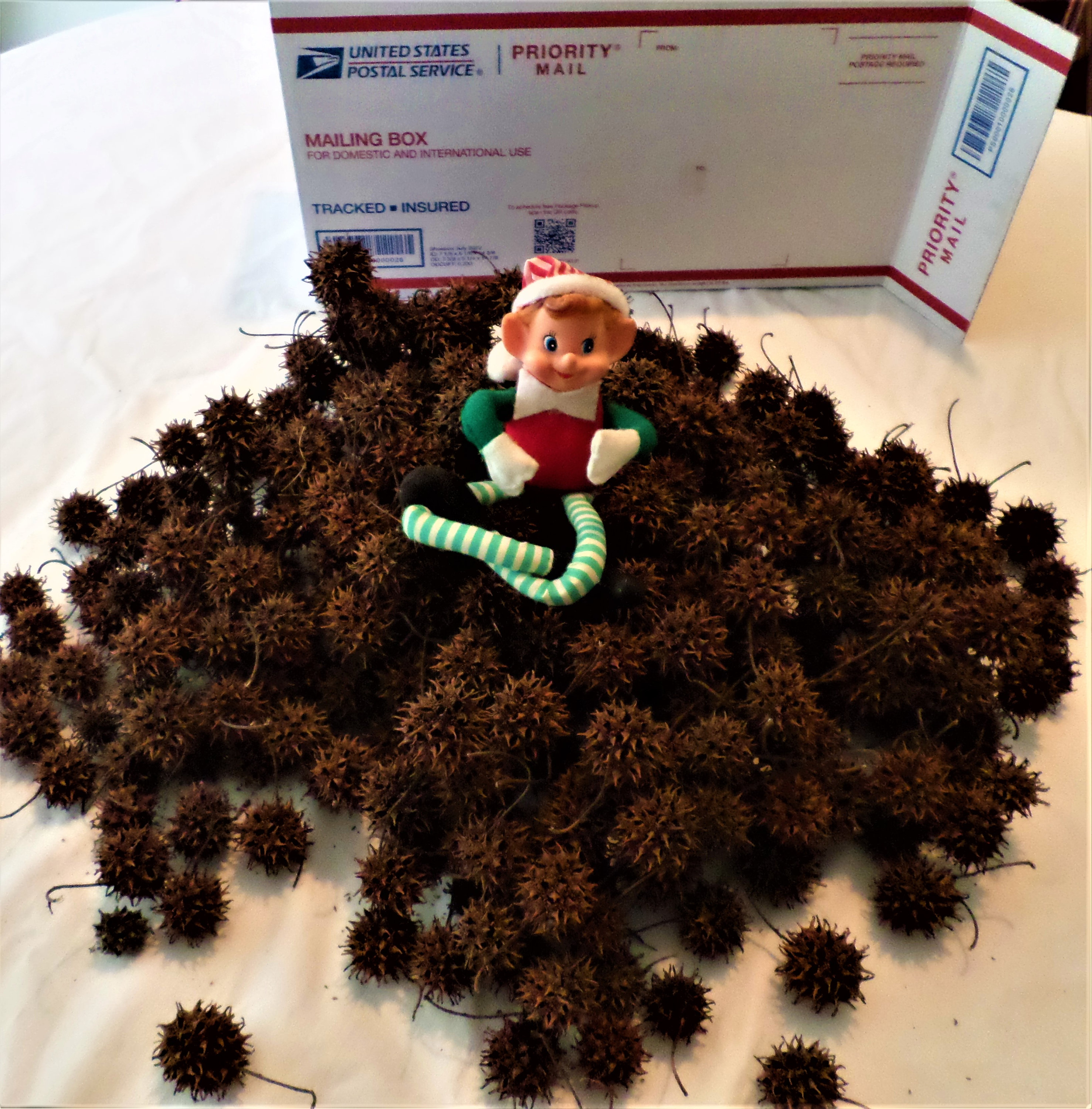 250 Sweet Gum Balls for Crafts, Wreaths, Potpourri, Mulch, & More Etsy