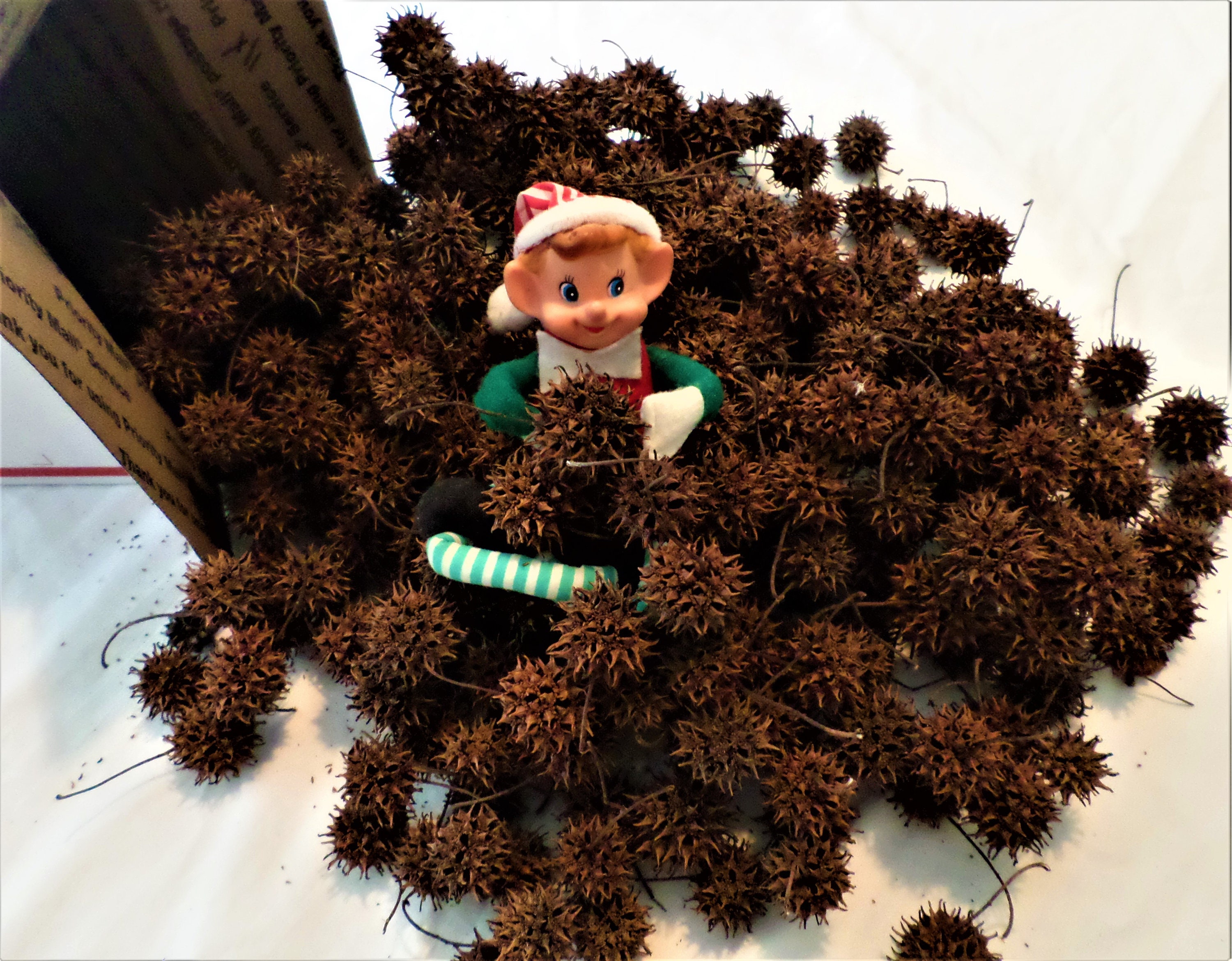 250 Sweet Gum Balls for Crafts, Wreaths, Potpourri, Mulch, & More Etsy