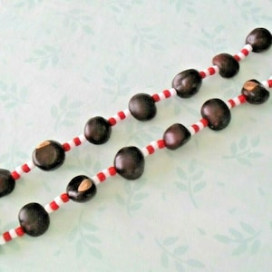 Ohio State Grown BUCKEYE NUT NECKLACE
