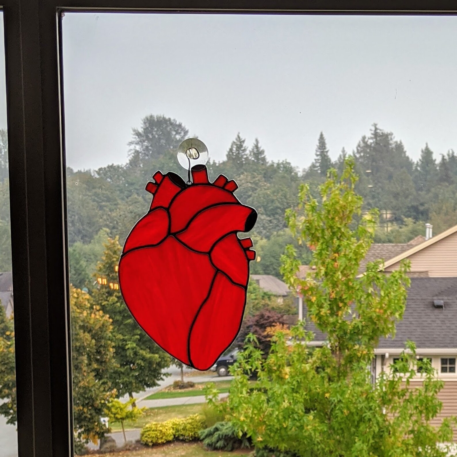 Anatomical Heart Gifts for Her Anatomical Stained Glass Etsy Canada
