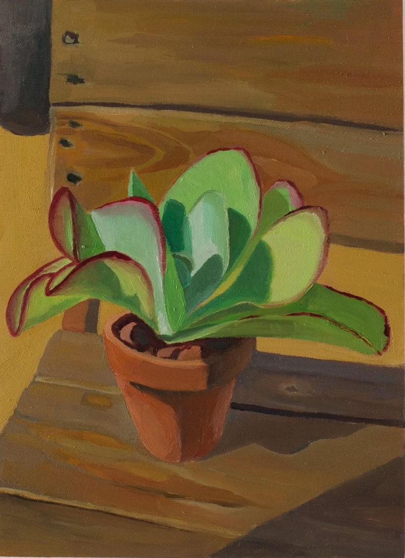 Puede incluir: Pintura de una planta suculenta en una maceta de terracota. La planta tiene hojas grandes y verdes con bordes rojos. La maceta est&aacute; sobre una superficie de madera, con el fondo mostrando m&aacute;s tablones de madera. La pintura tiene una paleta de colores c&aacute;lidos y soleados.