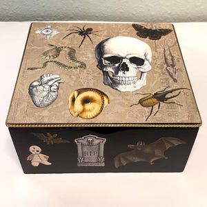 Decorative Wood Box, Goth Steampunk Skull Creepy Creatures Stash Box Jewelry Box
