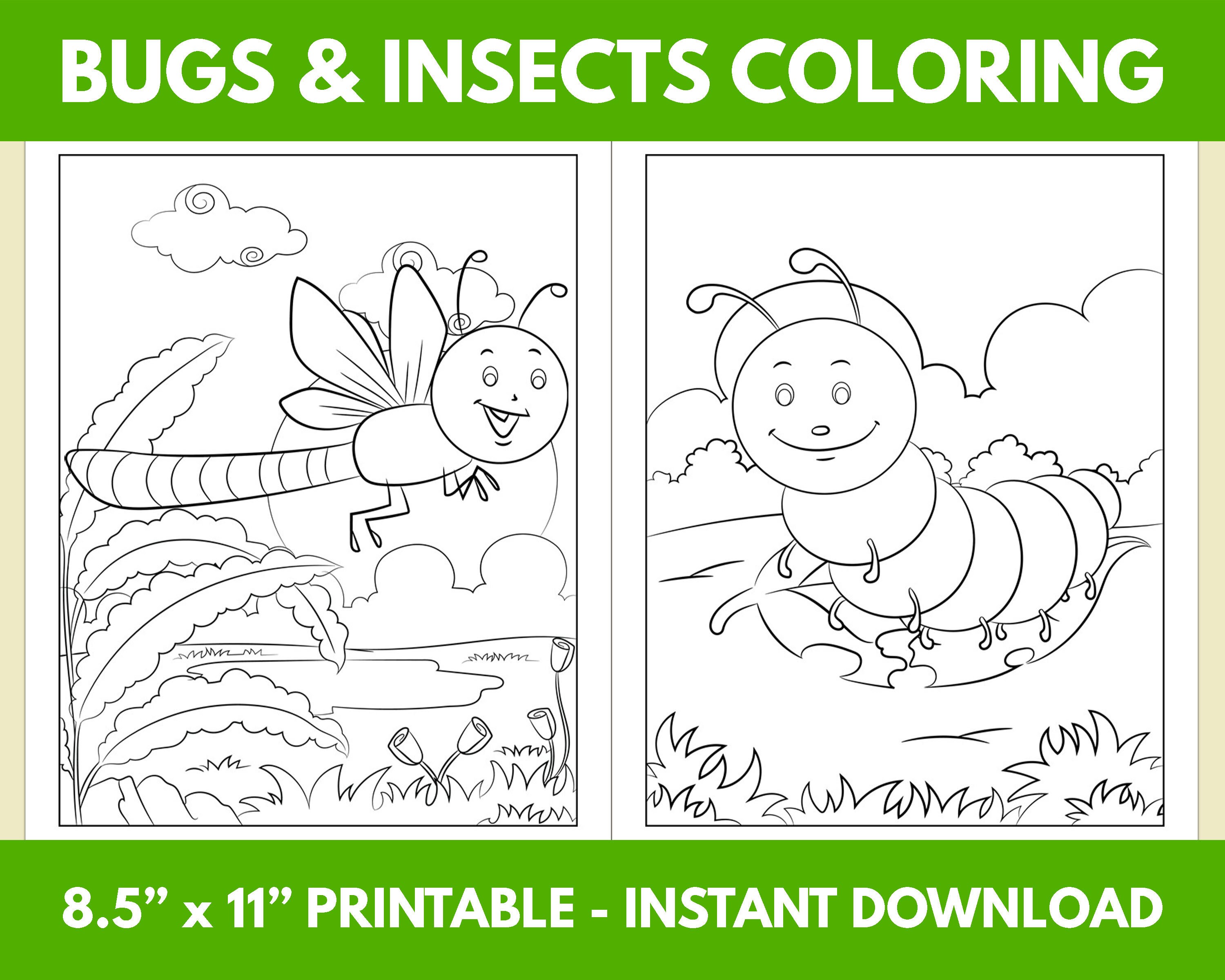 Bugs and Insects Coloring Pages for Kids and Toddlers Fun Creative