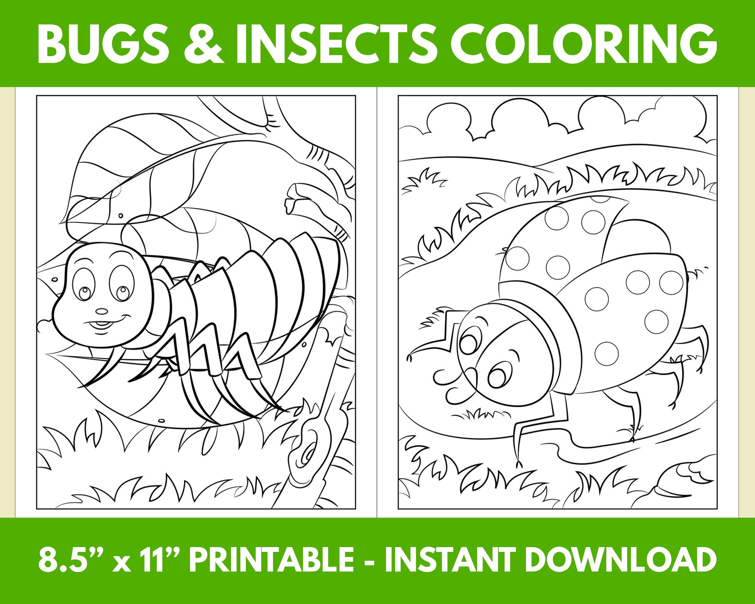 Bugs and Insects Coloring Pages for Kids and Toddlers Fun Creative