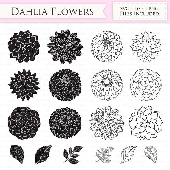 Free Free 176 Dahlia Flower Svg Free SVG PNG EPS DXF File