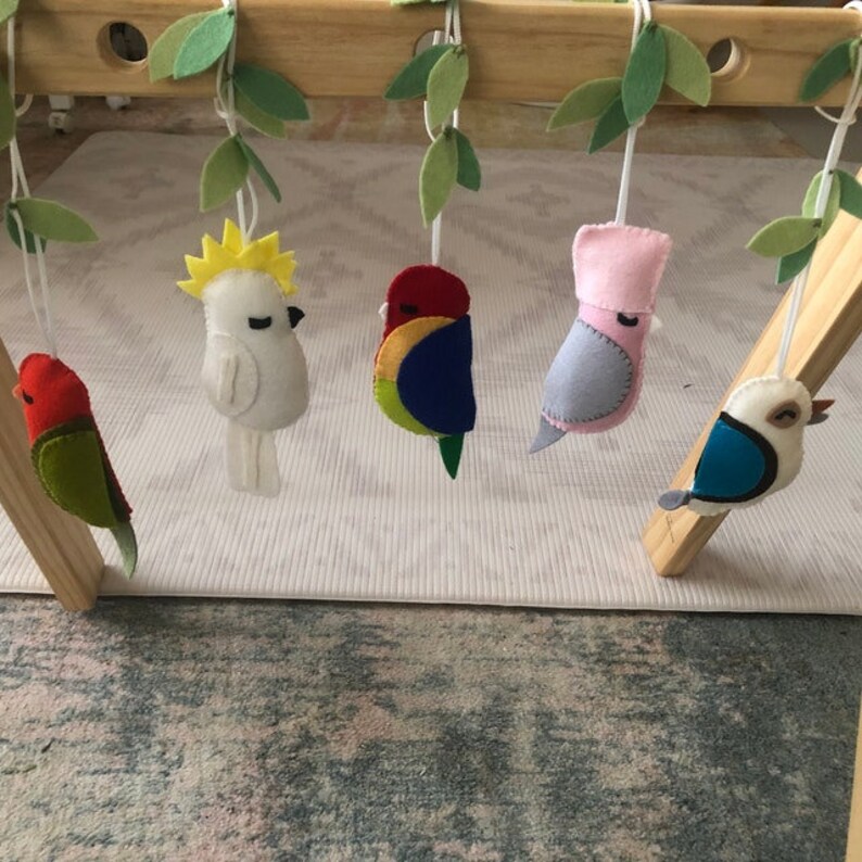 Play Gym Toys Australian Birds Australian Bird Door Hanger Etsy