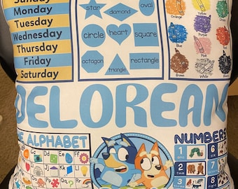 Custom Learning Pillow