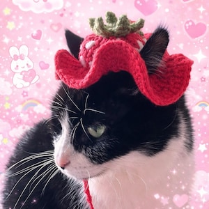 May include: A black and white cat wearing a red crocheted strawberry hat with green leaves. The cat is set against a pink background with hearts, stars, clouds, and a bunny illustration. The cat has green eyes and a red string.