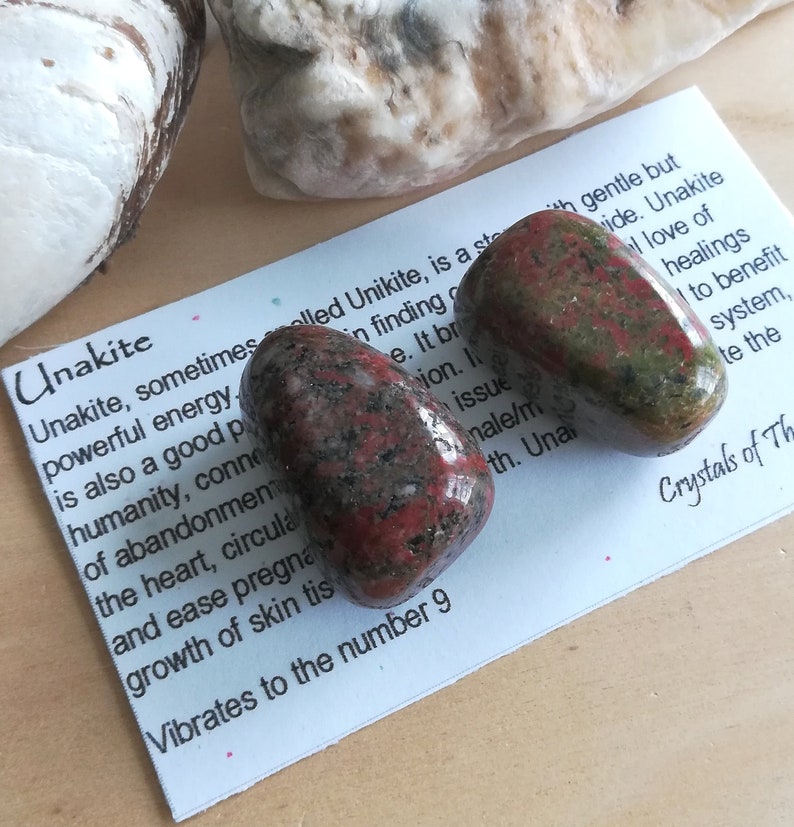 photo of kidney full of stones image of kidney full of stones