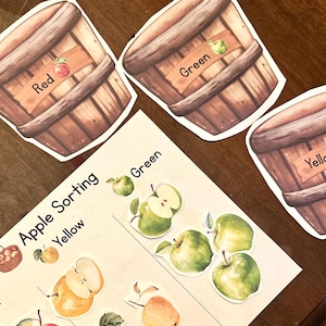 Könnte beinhalten: Ein pädagogisches Apfelsortier-Arbeitsblatt mit dem Text Apple Sorting und Spalten, die als Red, Yellow und Green beschriftet sind. Das Blatt enthält verschiedene Apfelillustrationen im Aquarellstil und drei separate Holzeimer-Ausschnitte.