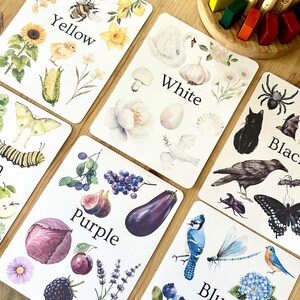 Può includere: Un set di carte educative a tema cromatico con illustrazioni ad acquerello di vari oggetti e animali etichettati con le parole Yellow, White, Black, Purple e Blue, accompagnate da un contenitore in legno pieno di pastelli a cera colorati.