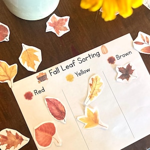 May include: A white paper sorting activity sheet titled Fall Leaf Sorting with columns labeled Red, Yellow, and Brown. The sheet features watercolor-style illustrations of various autumn leaves in shades of red, orange, yellow, and brown.