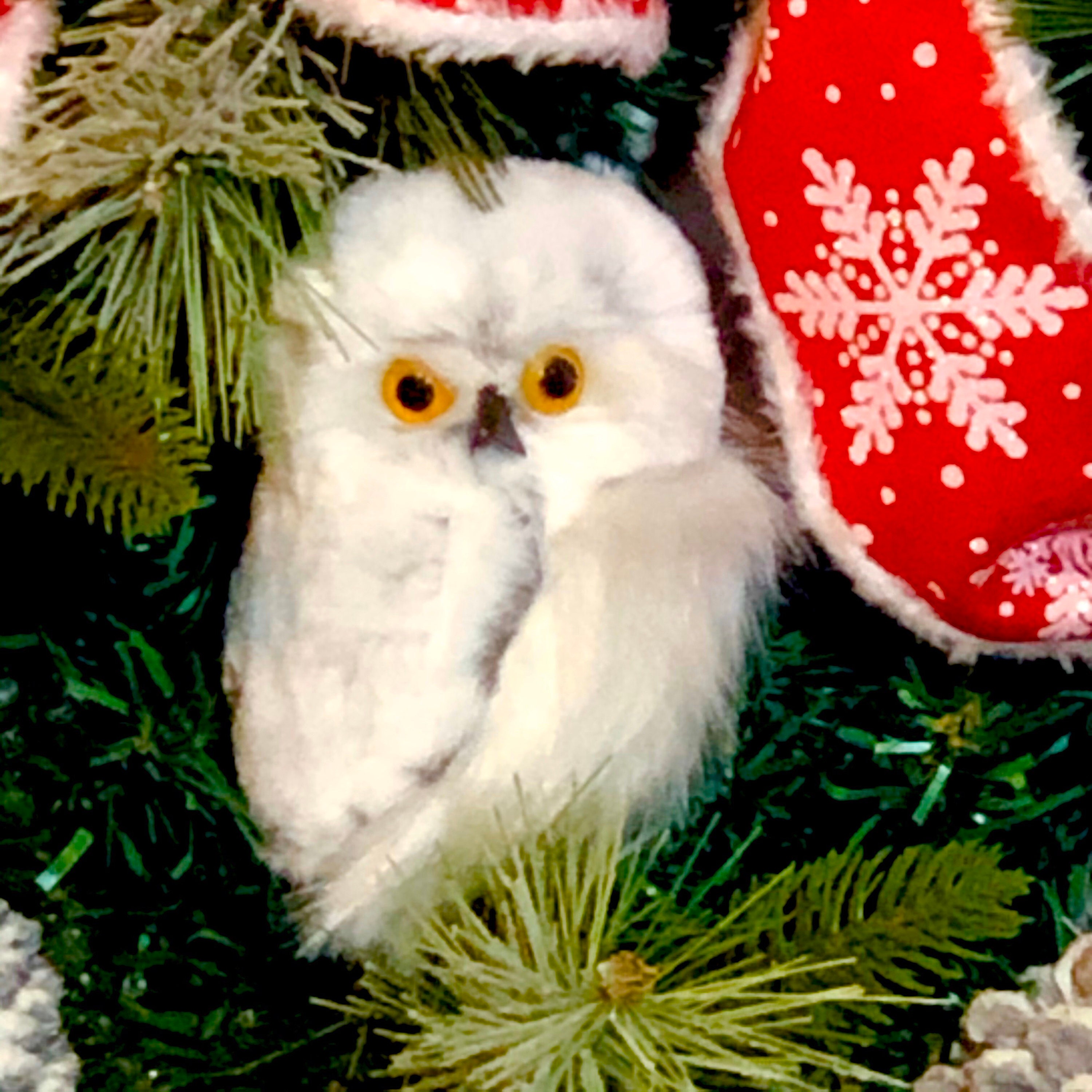 Owl Decor Front Door Wreathchristmas Decorholiday Wreath - Etsy