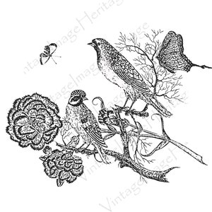 Two Birds with Carnation and Butterfly, 1800s Black and White, Coloring Book, Digital Download for Personal & Commercial Crafting