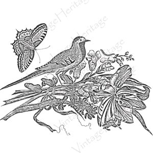 Grey Bird with Flowers and Butterfly, 1800s Black and White, Coloring Book, Digital Download for Personal & Commercial Crafting