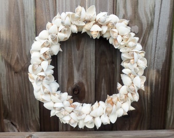 Sea Shell Wreath, Large Shell Wreath, White and Cream Shells, Wreath