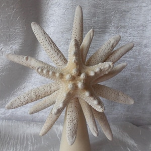 Starfish Tree Topper,  Large, Nautical, Tropical, Tree Topper, Christmas Tree Topper, Starfish Topper, Natural Starfish, Finger Starfish