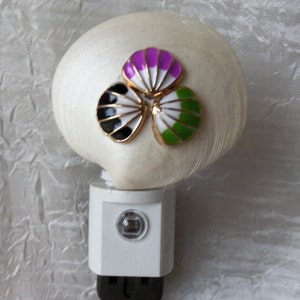 Shell Night Light, Sea Shell Nightlight, Motion Sensor, Polished Shell, Enamel Sea Shells