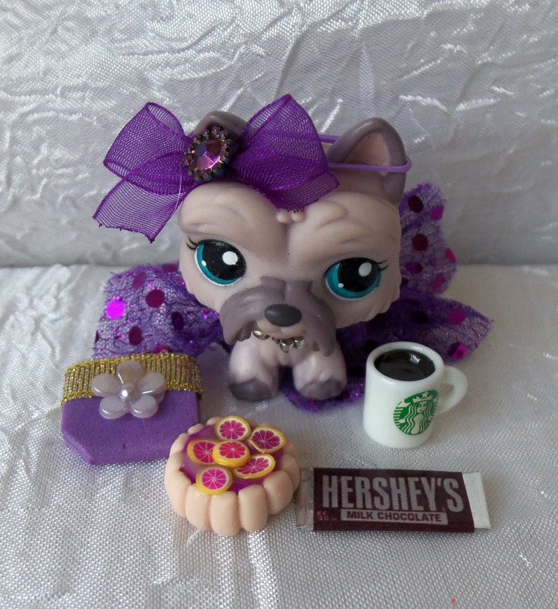 Littlest Pet Shop Lot of 20 RANDOM Accessories Custom Etsy