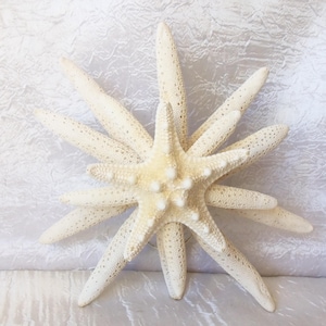 Starfish Tree Topper, 8&quot;  Large, Nautical, Tropical, Tree Topper, Christmas Tree Topper, Starfish Topper, Natural Starfish, Coil Topper