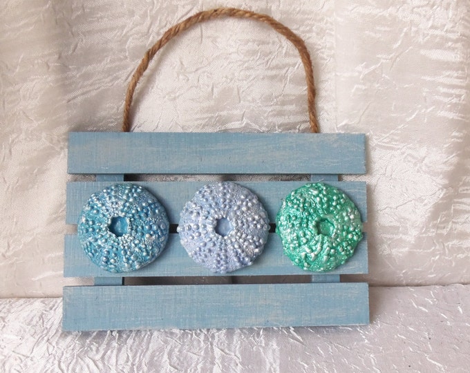 Sea Urchins Nautical Wall Decor, Clay Sea Urchins, Coastal Decor, Beach
