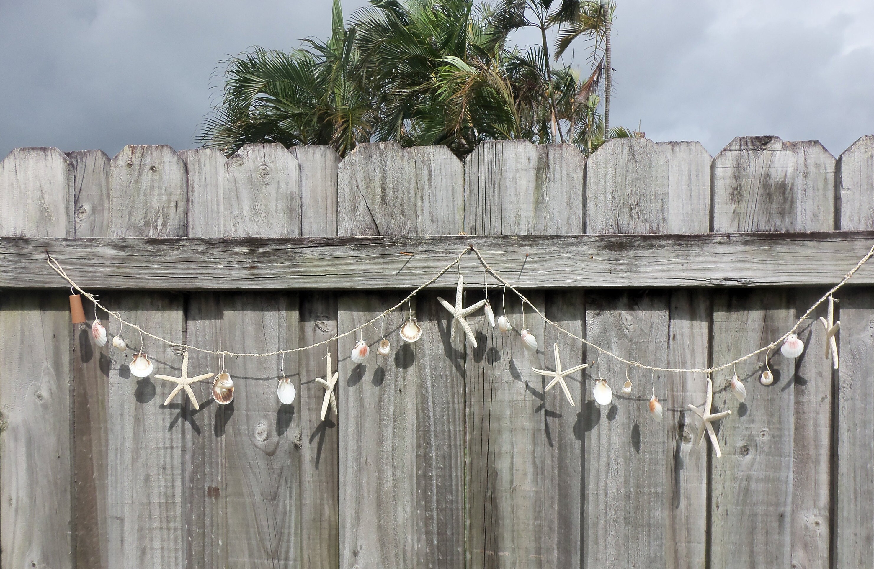 Remote Control Starfish Shell Garland Lighted Seashell Etsy