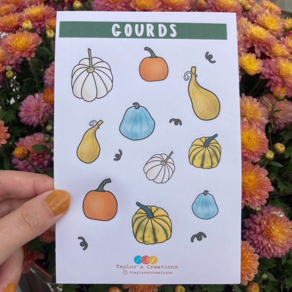 Gourd Sticker Sheet | Pumpkin Stickers | Journal Stickers | Planner Stickers | Fall Stickers | Pumpkin Lover Gift