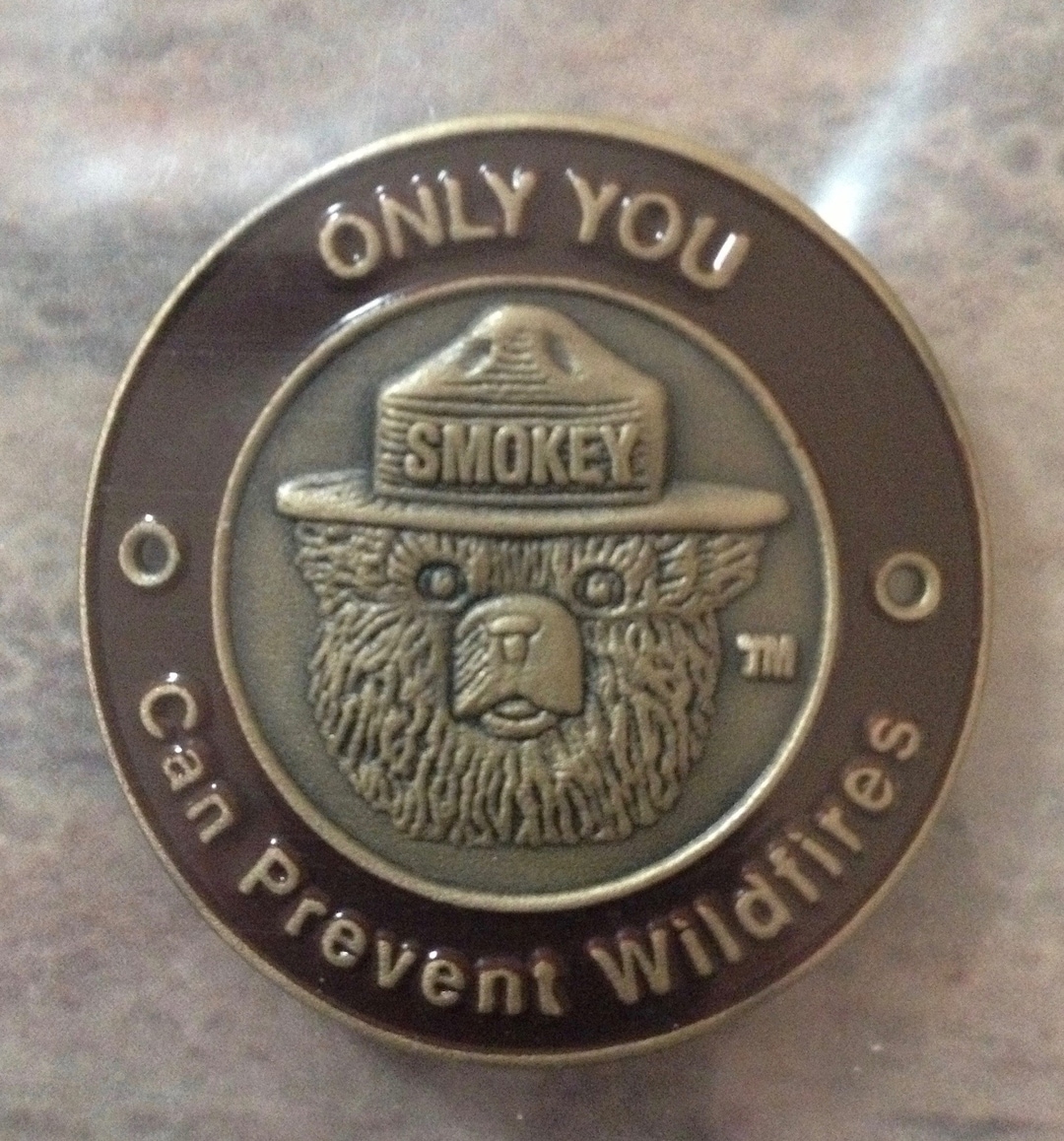 Smokey Bear Walking Stick Medallion Etsy