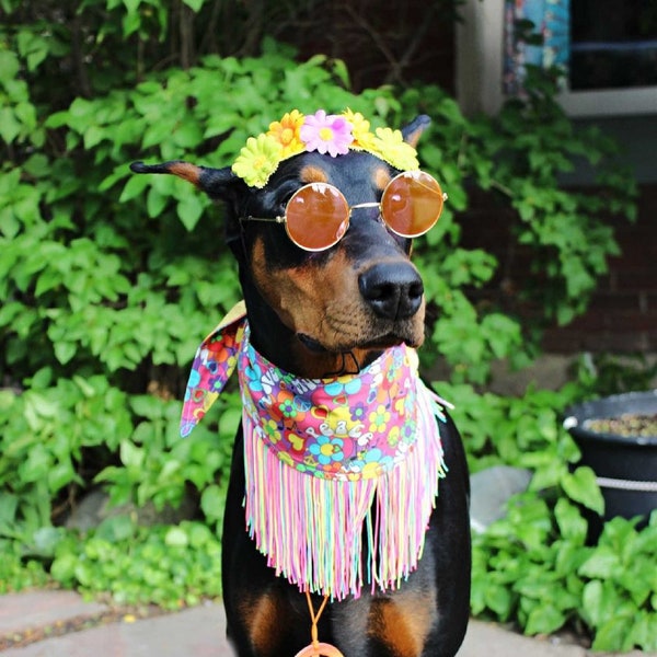 Hippie, Flower Power, Déguisement des années 70 pour animal de compagnie, Déguisement d'Halloween pour chien