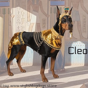 Cléopâtre, Égyptienne, Déguisement d&#39;Halloween pour grands chiens, Cosplay, Festival, Déguisement de défilé, Pharaon