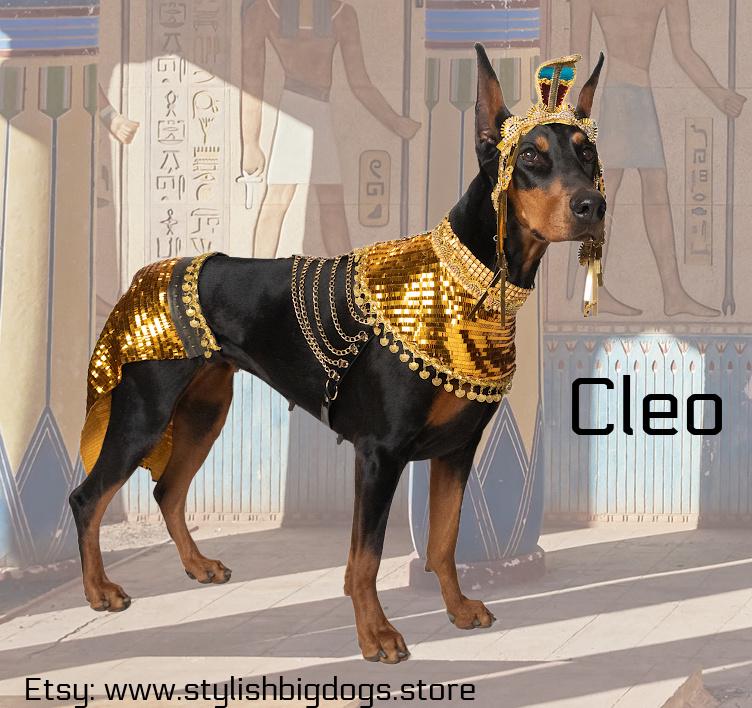 Egyptian Dog