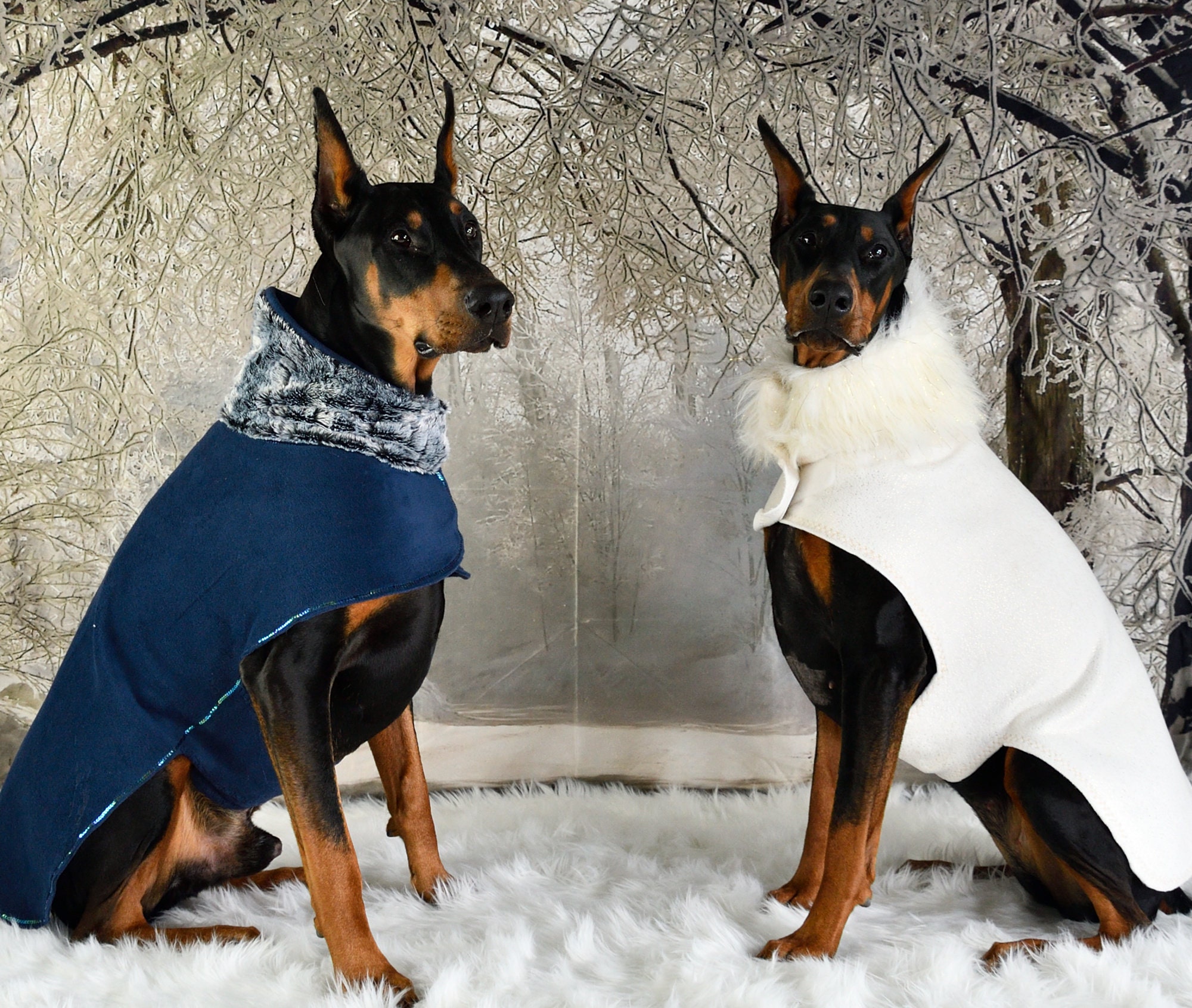 Dog Coat Doberman Coat Dog Coat Winter Great Dane Coat Dog Etsy
