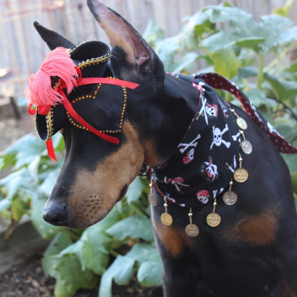 Pirate, pet costume, Halloween Bandanas, Halloween for pets, dog hat, hat for dogs, Halloween for dogs