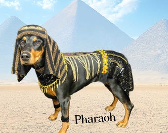 Cleopatra Dog Costume, Egyptian Queen Outfit for Large Breeds, Halloween Parade Cosplay