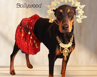 Bollywood, pet costume, Goddess, Halloween for dogs, Bollywood, Egyptian, Belly Dancer Hindu, Halloween for dogs