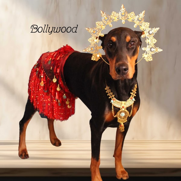 Bollywood, déguisement pour animal de compagnie, déesse, Halloween pour chien, Bollywood, égyptien, danseuse du ventre hindoue, Halloween pour chien