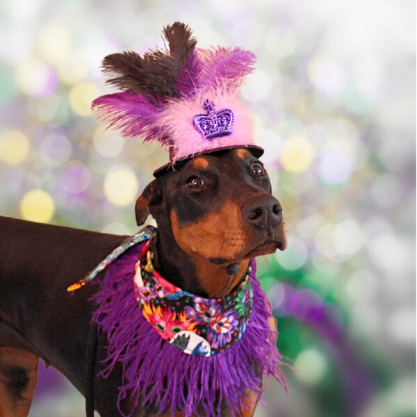 Mardi Gras Costume - Etsy