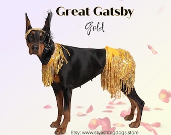 Gatsby Girl, 20&#39;s Flapper, Big Costume Dog Costume, Golden 20&#39;s, Jazz Age