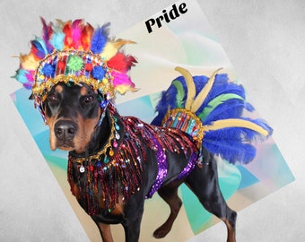 Pride pet costumes, Bandanas, Headdress, Hats, big dog costumes, feathers