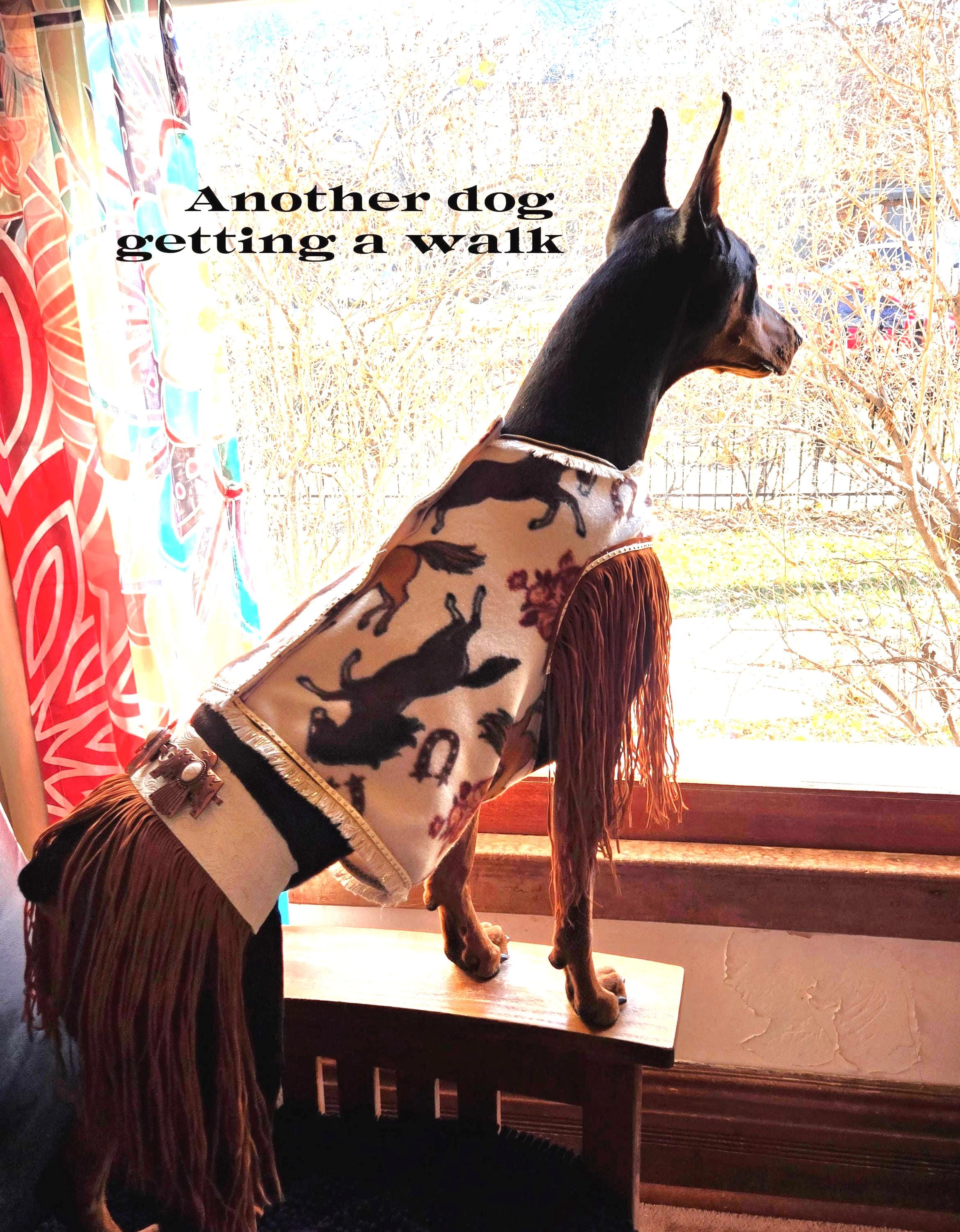 Cowboy Dog Costume: Rodeo Wrangler Outfit for Large Dogs - Etsy
