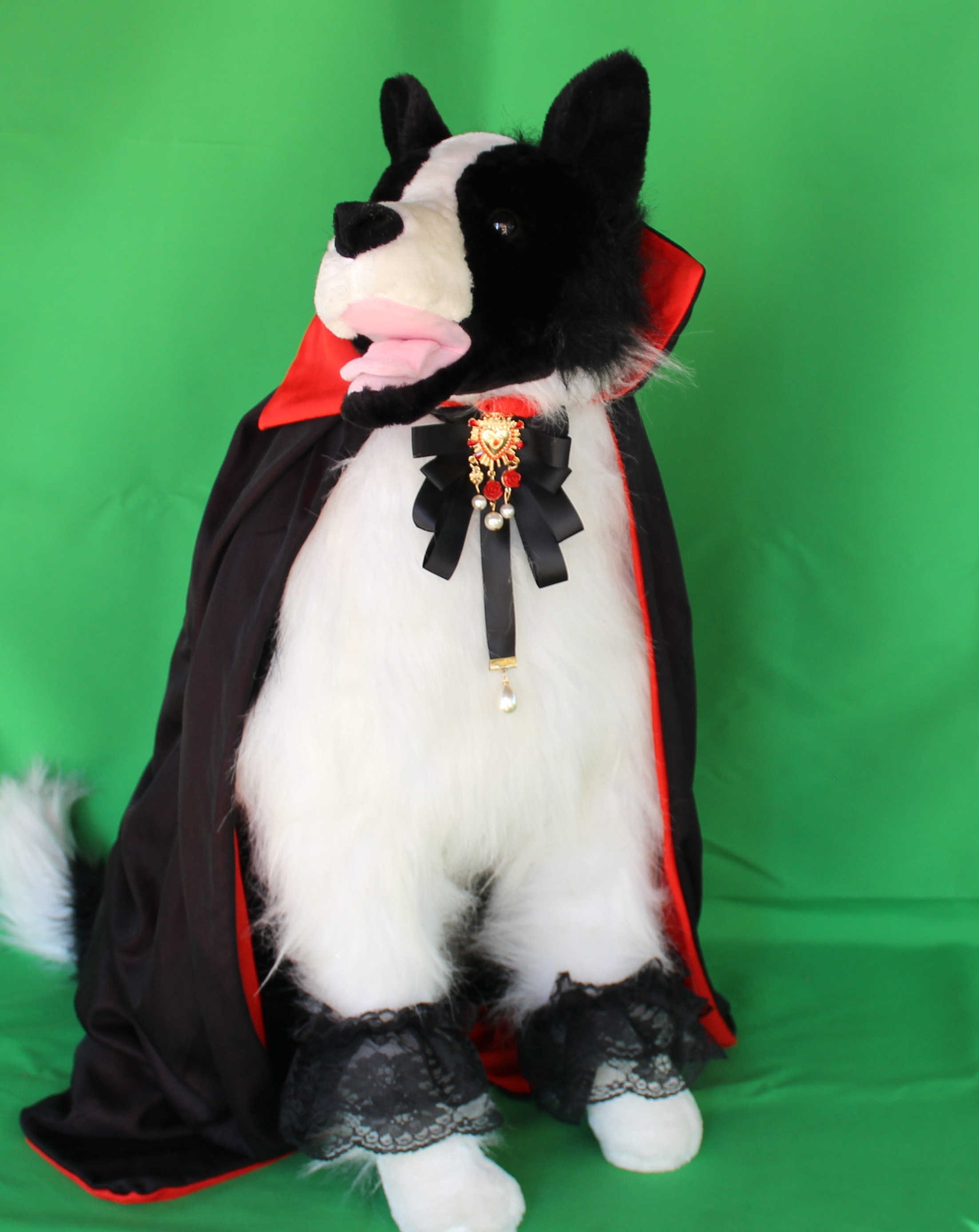 Dracula Pet Costume Gothic Dracula Cape for Dogs Halloween Etsy Canada